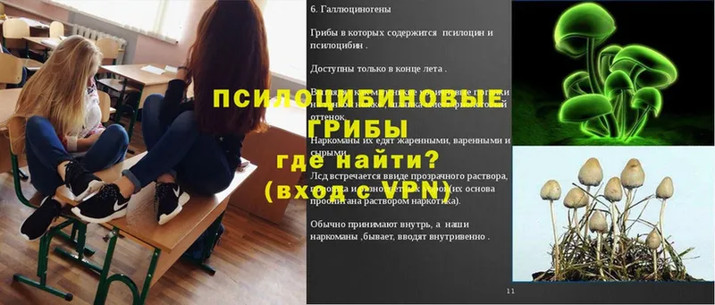 купить наркоту  Тайшет  Галлюциногенные грибы прущие грибы 